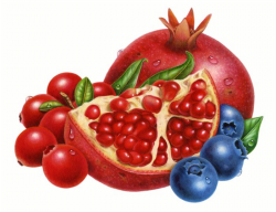 Pomegranate Blueberry cranberry clip art Big 700x540 Fruit | Clipart ...
