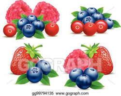 Vector Art - Group of forest fruits raspberry, strawberry ...