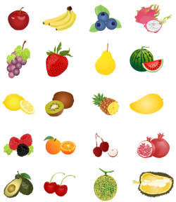 Fruit clipart including apple, banana, blueberry, grape, strawberry ...