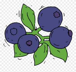 Blueberry - Collection - Fruit - Draw Blue Berry Clipart ...