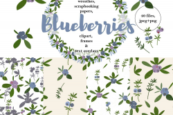 Blueberries collection - wreaths, digit | Design Bundles