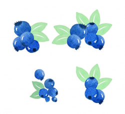 Watercolor Blueberries Clipart Set, Fruit, Food, Fresh, Ripe, Juicy, Sweet,  Summer, Illustration