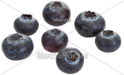 Stock Photo Fresh Blueberries Clipart - Image 56041001 - Fresh ...