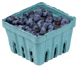 File:Blueberries-In-Pack.jpg - Wikimedia Commons
