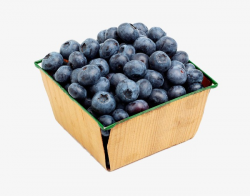 A Box Of Blueberries, Blueberry, Fruit, Fresh PNG Image and Clipart ...