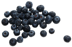 Group of Fresh Blueberries PNG image - PngPix