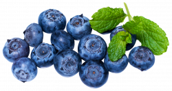 Fresh Blueberries PNG Image - PurePNG | Free transparent CC0 PNG ...