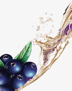 blueberry, Grape, Blueberry Wine PNG Image and Clipart for Free Download