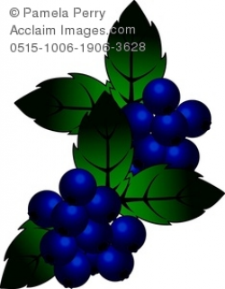 Clip Art Illustration of a Cluster of Blueberries With Leaves