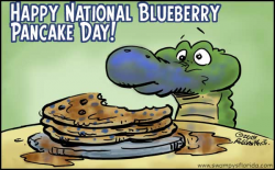 Swampy's #Florida says Happy National Blueberry Pancake Day ...
