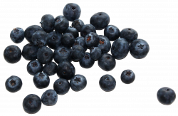 Group of Blueberries PNG Image - PurePNG | Free transparent CC0 PNG ...