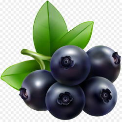 Blueberry Bilberry Huckleberry Clip art - blueberry png download ...