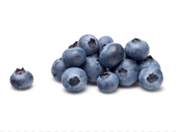 Raspberry Blueberry Vaccinium corymbosum Fruit - blueberries png ...