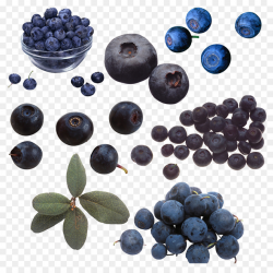 Blueberry Beaujolais Bilberry - blue and purple scattered blueberry ...