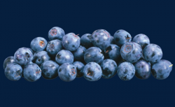 A Bunch Of Blueberries, Pile, Blueberry, Fruit PNG Image and Clipart ...