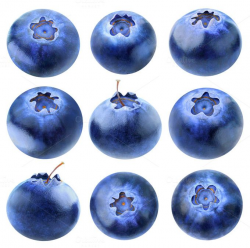 17 best fugler images on Pinterest | Blueberry, Fruit and Blueberries