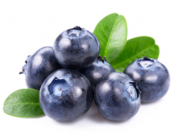 Blueberries, the rock star of berries, boosting your health and your ...