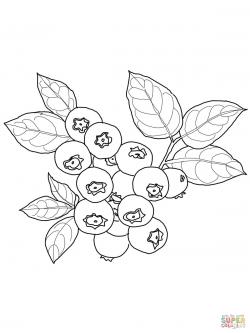 Blueberry coloring page | SuperColoring.com | Food, Drink and ...