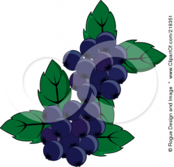 Blueberry 20clipart | Clipart Panda - Free Clipart Images