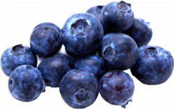 Blueberries PNG images free download
