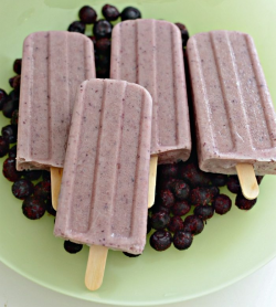 Blueberry Chia Popsicles — Bless this Mess
