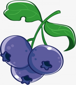 Vector Fruit Blueberries, Vector, Berry, Berries PNG and Vector for ...