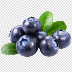 Bunch of blueberries, Juice Blueberry Dried fruit, Blueberry ...