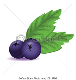 Blueberry Drawing at GetDrawings.com | Free for personal use ...