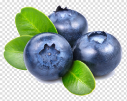 Three blueberries illustration, Smoothie Blueberry ...