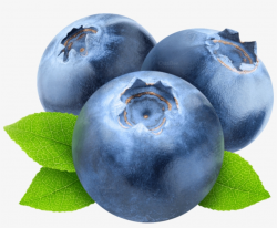 Free Png Blueberries Png Images Transparent - Transparent ...