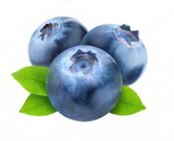 Two blueberries with leaves isolated | Blueberry and File format