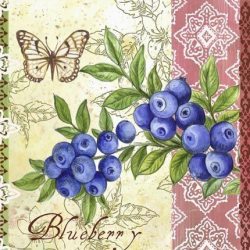 149 best Ягоды images on Pinterest | Berries, Botanical illustration ...