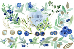 Blueberry gold. Watercolor clipart. - Illustrations - 4 | Berries ...