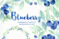 Blueberry Watercolor clipart wreath branch watercolor