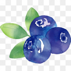 Watercolor Blueberry Png, Vectors, PSD, and Clipart for Free ...