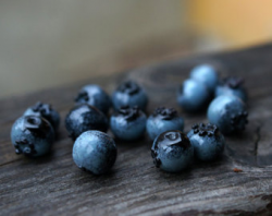 Blueberry | Etsy