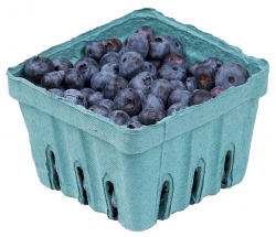 blueberries in pack - /food/fruit/berries/blueberry ...