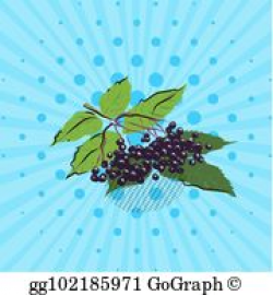 Vector Art - Blueberries on a blue background, lines, points. vector ...