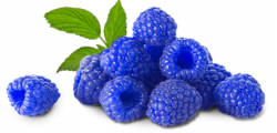 Blue Raspberry | The Blue Pineapple. | Pinterest | Blueberry ...