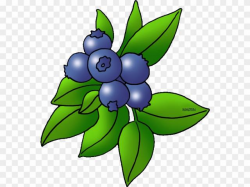 Free Blueberry Clipart, Download Free Clip Art on Owips.com