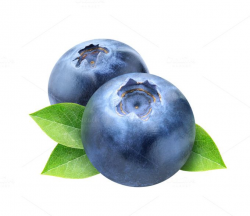 Two blueberries with leaves isolated | Blueberry and File format