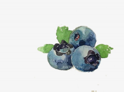 Blueberry, Cartoon, Hand Painted, Watercolor PNG Image and Clipart ...