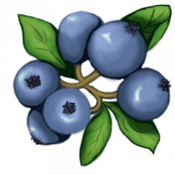 28+ Collection of Blueberry Clipart Transparent | High quality, free ...