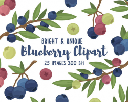 Blueberry Clipart 25 Hi Res PNG Files Blueberry