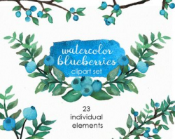 Blueberry clipart | Etsy