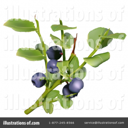 Blueberry Clipart #37650 - Illustration by dero
