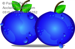 cartoon blueberry clipart & stock photography | Acclaim Images