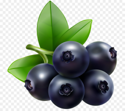 Pie Cartoon clipart - Blueberry, Fruit, Food, transparent ...