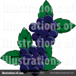 Blueberries Clipart #218351 - Illustration by Pams Clipart