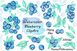 Watercolor blueberry clipart transparent background digital